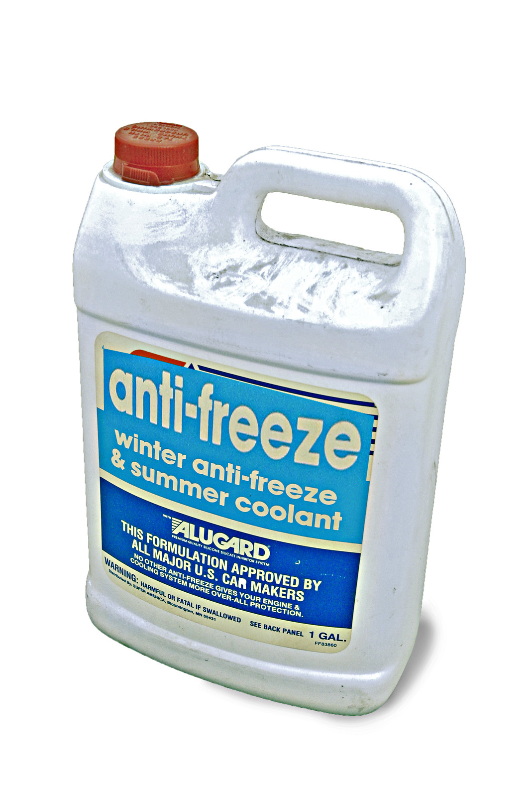 Things That Are Poisonous to Dogs What Every Pet Owner Should Know