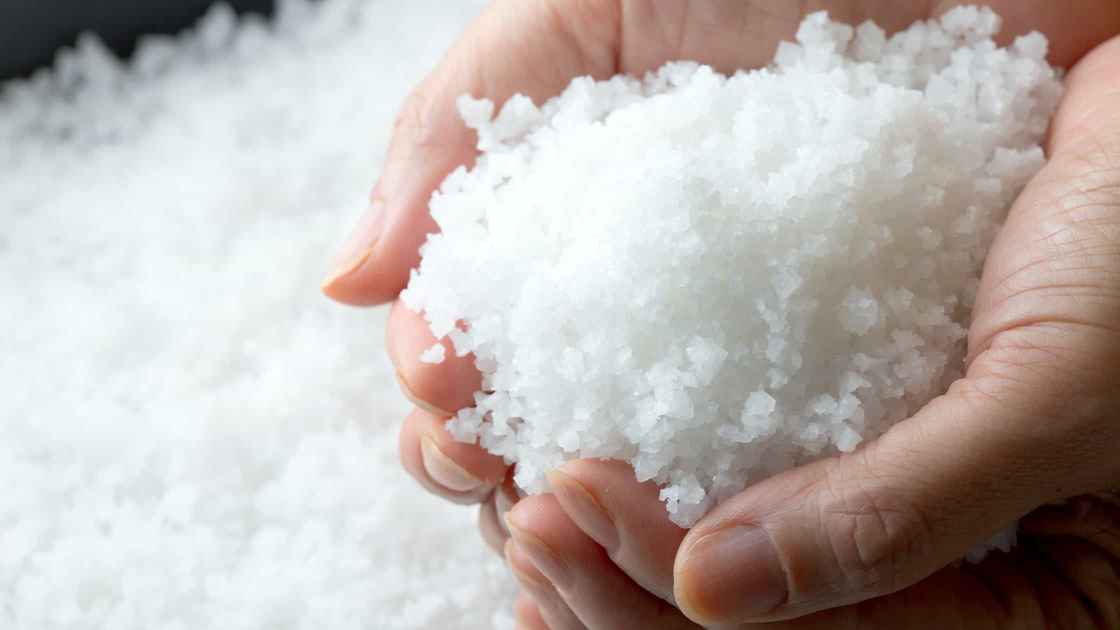 Can Dogs Eat Salami...And Is It Healthy?