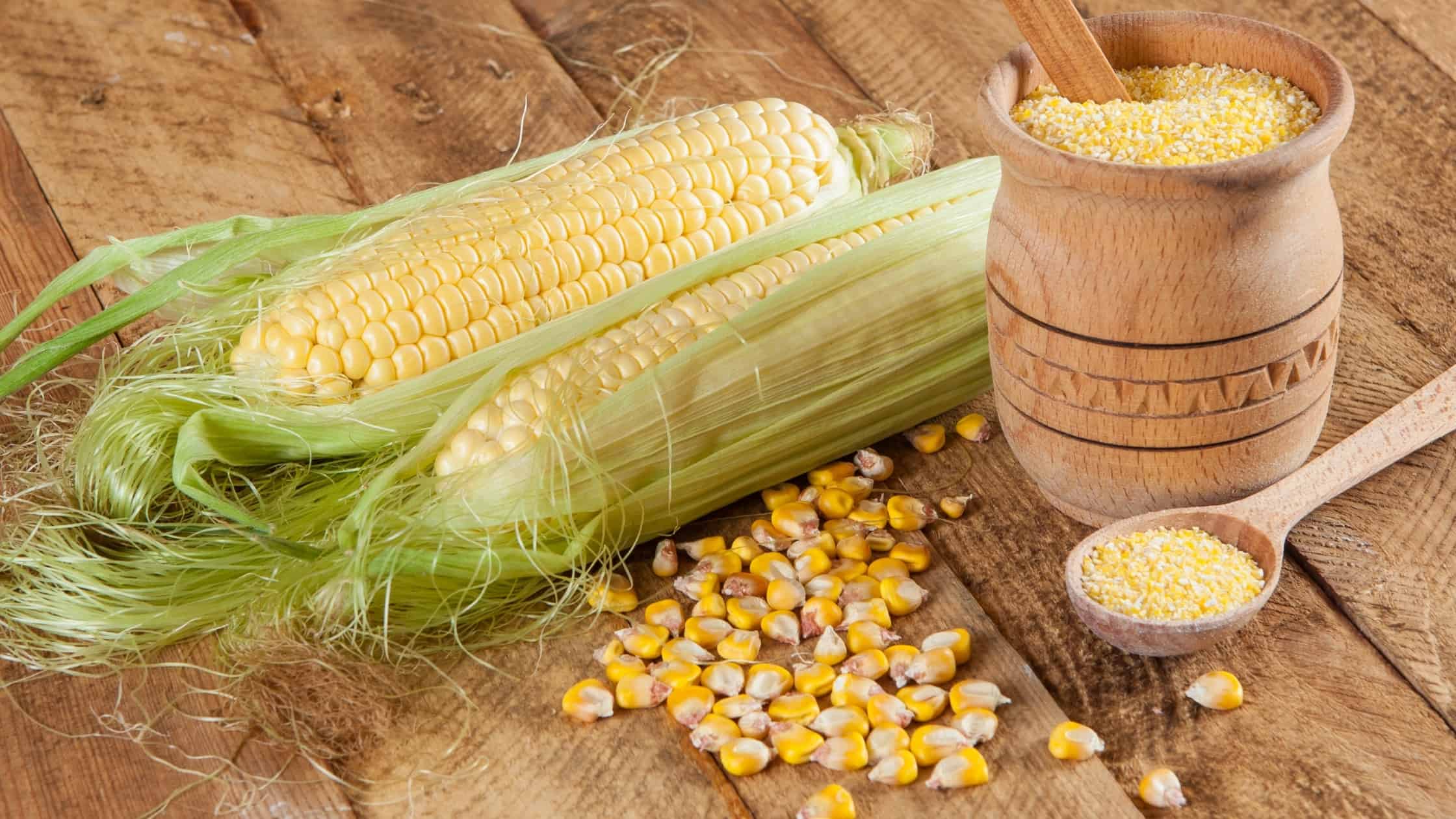 Can Dogs Eat Grits, And Are They Safe?